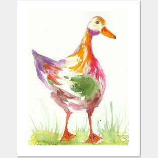 Colourful Duck Posters and Art